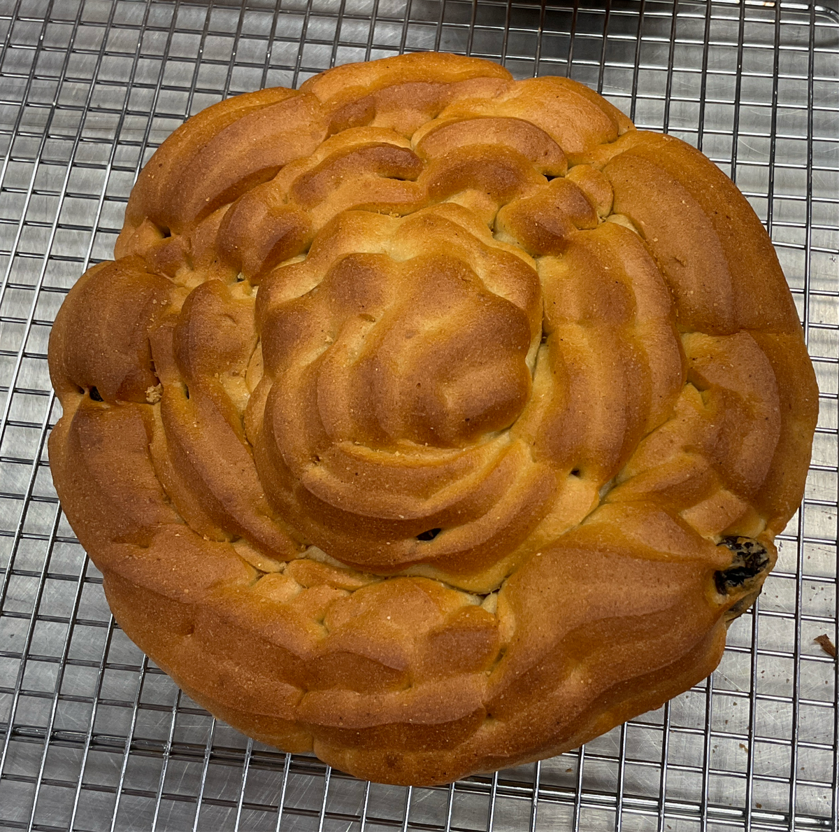 GF Challah - Raisin loaf - 1.07 lb (Frozen)